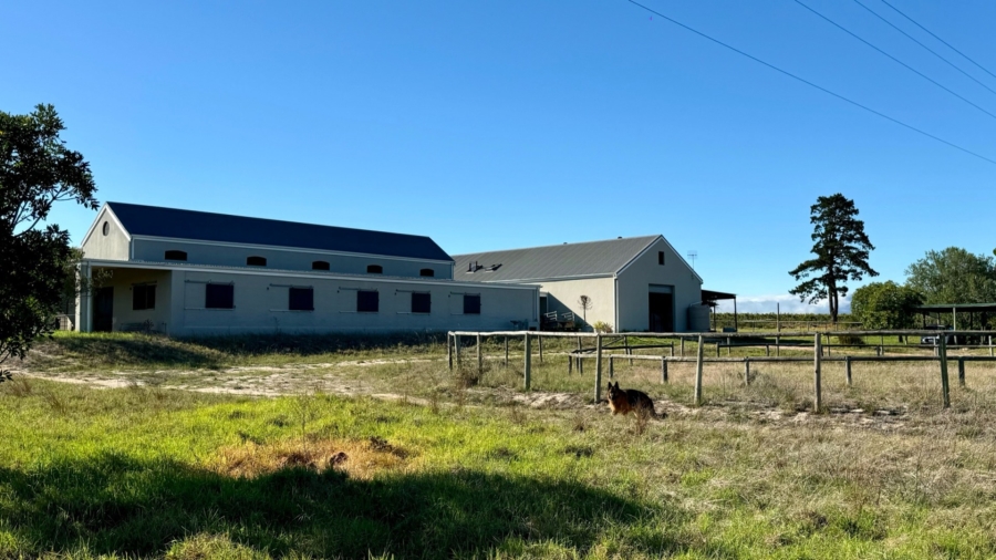 7 Bedroom Property for Sale in Stellenbosch Farms Western Cape